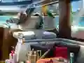 Žaidimas Caribbean Crime internete