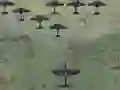Žaidimas Wings Of Glory internete