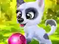 Žaidimas Happy Dog internete