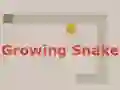 Žaidimas Growing Snake internete