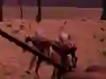 Žaidimas Last Defense internete