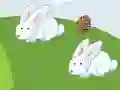 Žaidimas Crazy Eggs internete