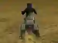 Žaidimas Real Moto Stunts Challenge internete