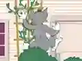 Žaidimas Tom und Jerry: Wasserbomben Wahnsinn internete