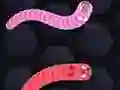 Žaidimas Angry Worms internete