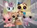 Žaidimas Little Pet Shop: Hide and Seek internete