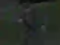 Žaidimas Soviet Sniper internete