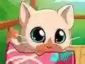 Žaidimas My Pocket Pets Kitty Cat internete