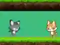 Žaidimas Cat vs Dog internete