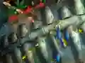 Žaidimas Fishing King internete
