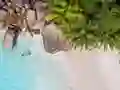 Žaidimas Seychelles Beach Jigsaw Puzzle internete