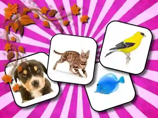 Žaidimas Animals Memory internete
