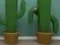Žaidimas Cactus Cube internete