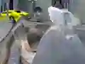 Žaidimas Z Day Shootout internete