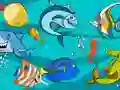 Žaidimas Fish Differences internete
