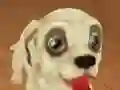 Žaidimas Pet Run Adventure internete