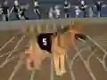 Žaidimas Crazy Dog Racing Fever internete