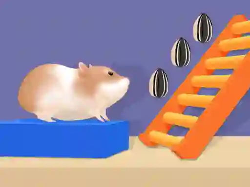 Žaidimas Hamster Stack Maze internete