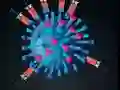 Žaidimas Kill The Coronavirus internete