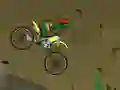 Žaidimas Ninja Turtle Bike internete