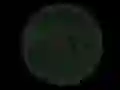 Žaidimas Stickshot 2 internete