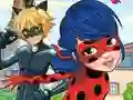 Žaidimas LadyBug Differences internete