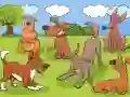 Žaidimas Animals Differences internete