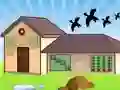 Žaidimas G2L Out House Escape internete