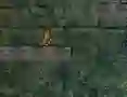 Žaidimas Bunny Adventure internete
