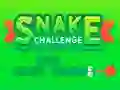 Žaidimas Snake Challenge internete