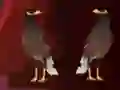 Žaidimas Peikin Duck Escape internete