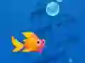 Žaidimas Save the Fishes internete
