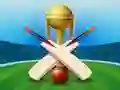 Žaidimas Cricket Champions Cup internete