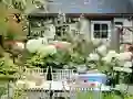 Žaidimas Flower Garden internete