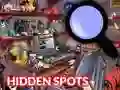 Žaidimas Hidden Spots In The Room internete