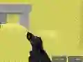 Žaidimas Pixel Combat Multiplayer internete