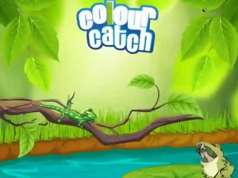 Žaidimas Colour Catch internete