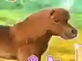 Žaidimas My Dear Pony internete