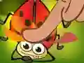 Žaidimas Insect Cush internete
