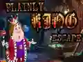 Žaidimas Plainly King Escape internete