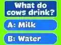 Žaidimas Trivia Best Family Quiz internete