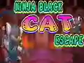Žaidimas Ninja Black Cat Escape internete