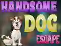Žaidimas Handsome Dog Escape internete