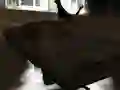 Žaidimas Drift Z internete
