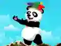 Žaidimas Panda Shooter internete