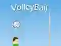 Žaidimas VolleyBall internete