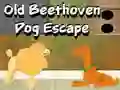 Žaidimas Old Beethoven Dog Escape internete
