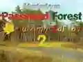 Žaidimas Mysterious Password Forest Autumn Edition 2 internete