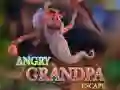 Žaidimas Angry Grandpa Escape internete