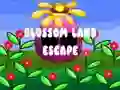 Žaidimas Blossom Land Escape internete